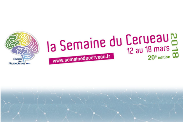 semaine_cerveau